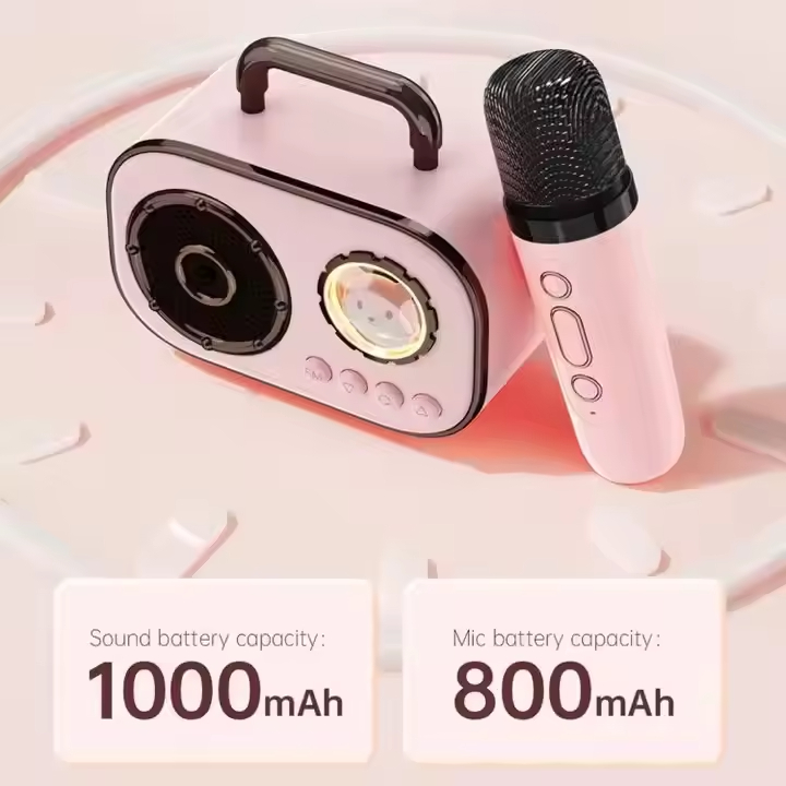 Wireless Portable Mini Speaker with Radio